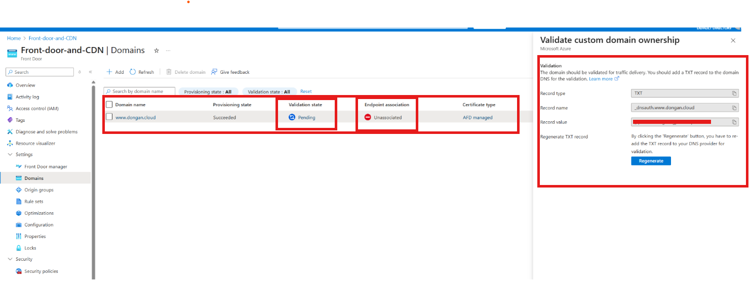 Domain verification record name and value